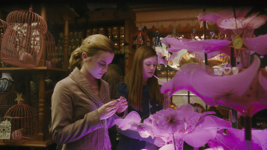 Hermione_and_Ginny_at_the_Weasley's_Wizard_Wheezes_Shop.jpg